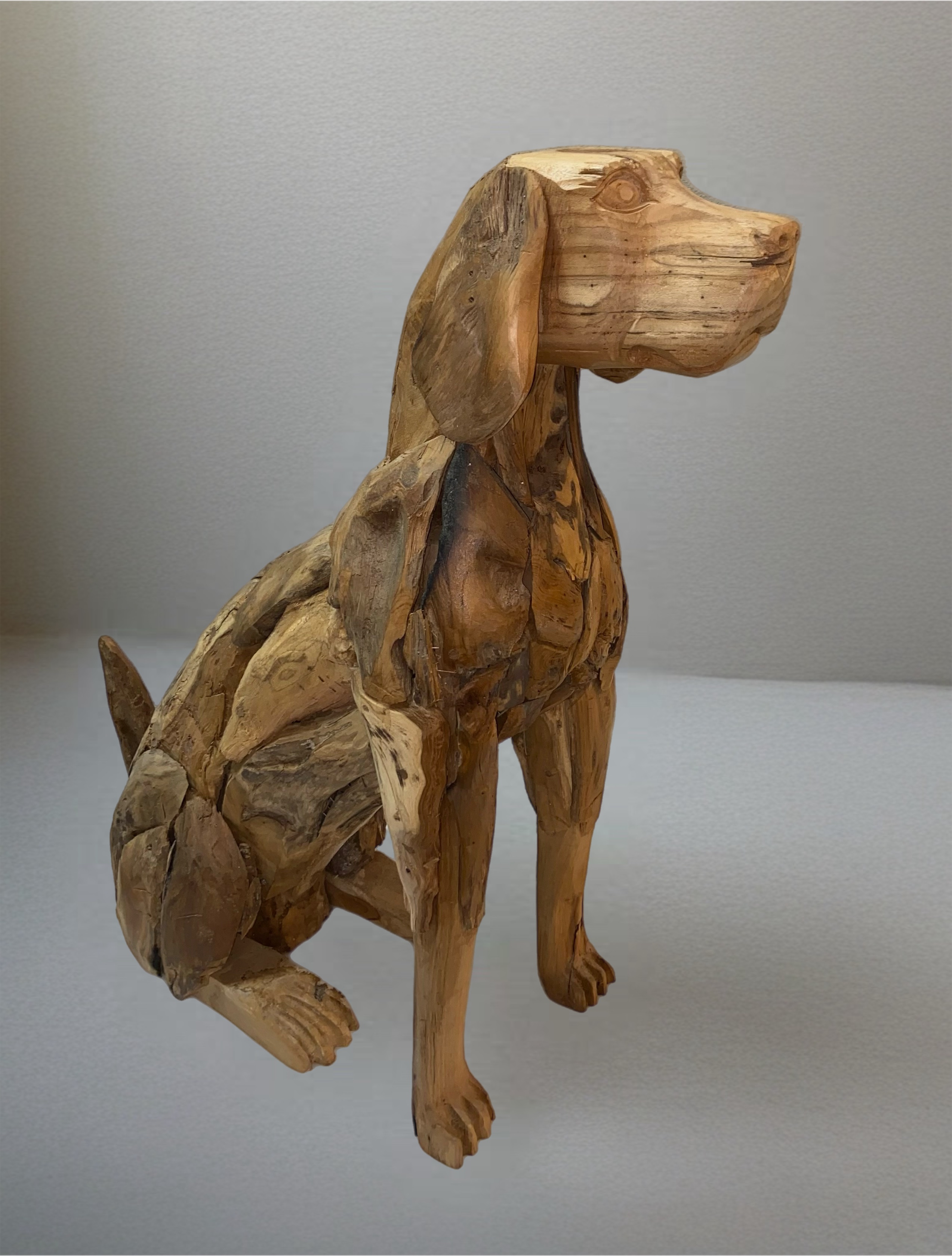 JAV 46 DOG ROOT PIECED CARVED 44248 Image
