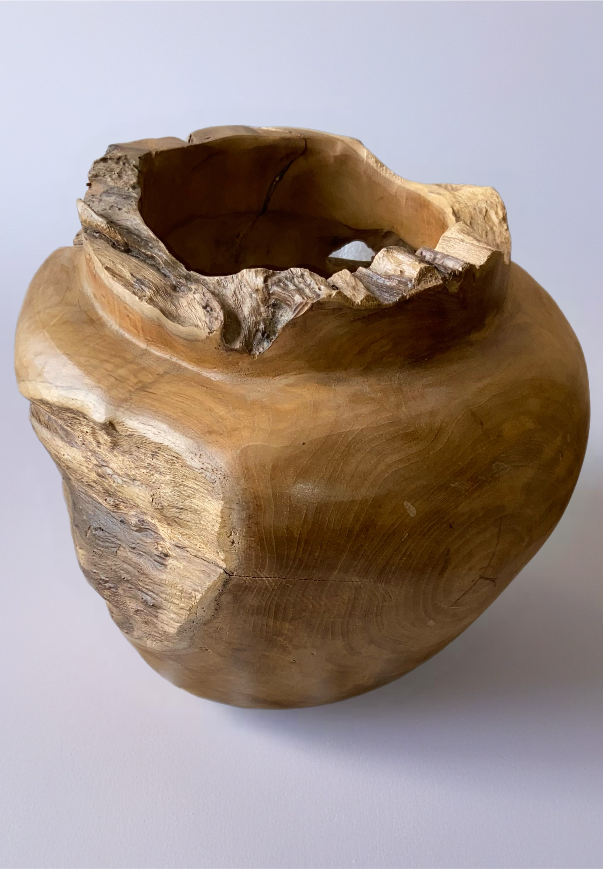 JAV 34 VASE TEAK ROOT EROSION 44236 Image