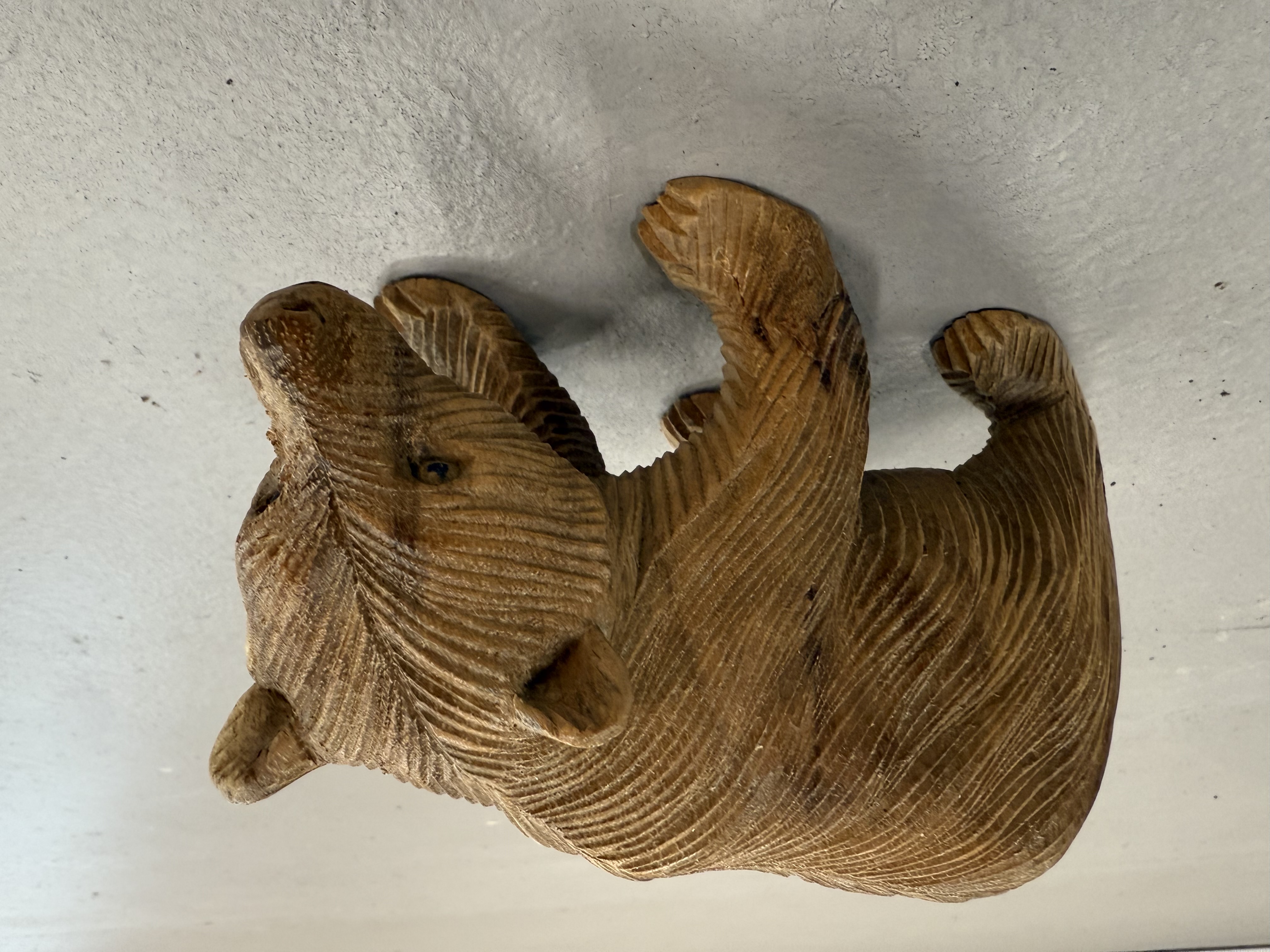 EXB 149 BEAR 47514 Image